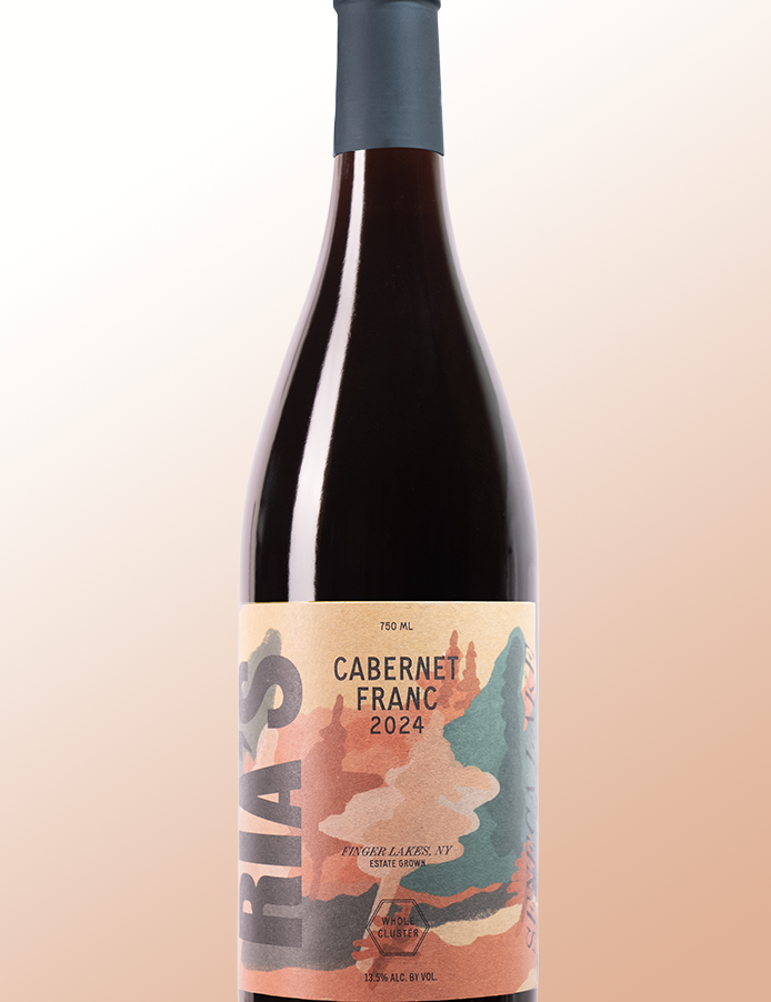 Wine bottle with a colorful label on a gradient background