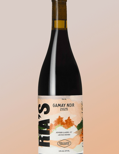 Gamay Noir